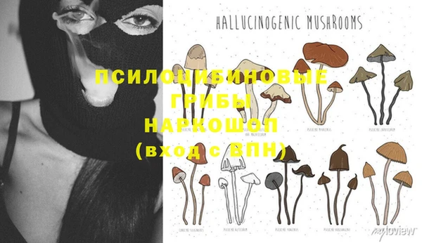 гашик Балабаново