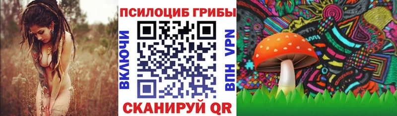 купить  сайты  Грайворон  Галлюциногенные грибы Cubensis 